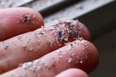 Experts fear food chain contamination as microplastics found in bugs