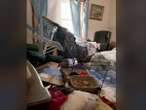 Shocking footage shows home where elderly man lived with 175 cats