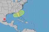 Tropical storm set to target Florida after brewing in the Gulf