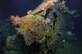 New ocean expedition captures images of 13 WWII shipwrecks