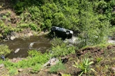Dog walks miles on own to get help for owner who crashed car in ravine