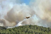 Deadly wildfires strike France as huge blaze continues to spread