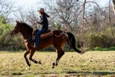‘ICE Barbie’ Kristie Noem dons cowboy gear on visit to Argentina