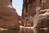 Toxic algae hits Lake Powell to spoil July 4 swimming and boating