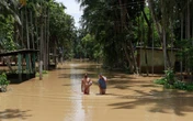 Death toll mounts as floods in India displace over 2 million people