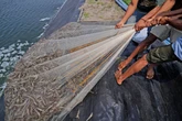 Indonesia’s radioactive shrimp case threatens livelihood of millions