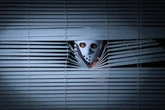 These are the states where psychopaths are most likely to live