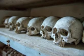 What a million-year-old skull could reveal about human evolution