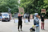 Zoo kills 12 baboons despite protests from animal rights groups