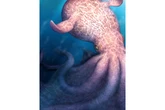 New fossil finds show that giant krakens ruled prehistoric oceans