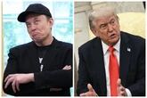 The internet is losing its mind over Trump and Musk’s very public feud