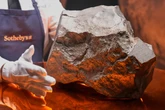 Largest Martian meteorite on Earth sparks bidding war