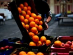 150m meals dumped rather than given to hungry because of £600m subsidy
