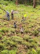 Whippet runs four-miles to save owner who crashed truck into ravine