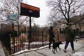 Neighbourhoods with more dogs may have lesser crime rates