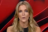 Megyn Kelly slammed for questioning if Jeffrey Epstein was a pedophile