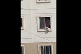Girl, 4, dangling from window rescued by off-duty firefighter
