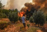 Six now dead and hudreds homeless in devastating Turkey wildfires