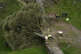 Sycamore Gap: How a ‘bully’ and a ‘silly man’ shamed their communities