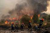 Deadly Greece wildfire believed to have been by beekeeper