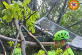 Britons killed in Naples cable car crash named