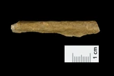 Scientists’ discovery rewrites history of humans arriving in Europe