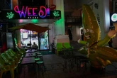 Thailand to crack down on cannabis as drug smuggling cases soar