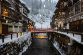 Man arrested in Japan for ‘committing indecent acts’ in hot spring