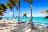 Tiny island of Anguilla cashes in on .AI domain