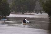 Sharks swim in canals as Australia grapples with cyclone aftermath