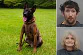 Mother and her son arrested after fatal shooting of SC police dog