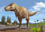 Scientists discover distant cousin of T-rex hiding in plain sight