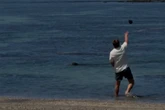Tourist charged after rock hurled at endangered seal in Hawaii