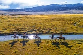 Humans riding horses 1,000 years earlier than previously thought