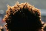 Curly hair allowed early humans to ‘stay cool and conserve water’