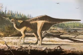 New dinosaur species discovered with ‘eye-catching sail’ along its back