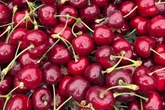 British cherries to be ‘bigger, sweeter, juicier’. Here’s why