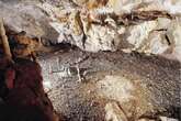 Archaeologists discover prehistoric ‘time capsule’ in cave dwelling