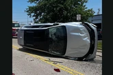 Cicadas overrun amusement park and take the blame for a car wreck
