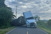Millions of honeybees abuzz after truck overturns in Washington state
