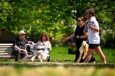 Why is my hay fever so bad? Pollen count rises in latest heatwave
