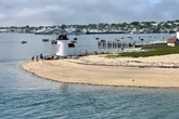Man sued for allegedly cutting down neighbor’s trees for an ocean view