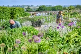 Gardening and moderate physical activities ‘may cut depression risk by 23%’
