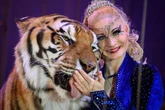 Tiger shot dead by German police after escaping enclosure