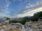 Ancient Roman forum unearthed in Spain likely served special purpose