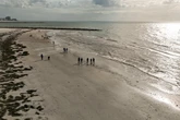 Rare flesh-eating bacteria has already killed four Florida beachgoers