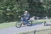 Man on e-bike kills goose after ploughing into birds in ‘horrific’ act