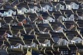 Rental prices could rise ‘by at least 25%’, report says