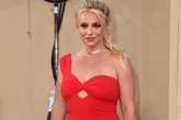 Britney Spears was 'confrontational' and 'flamboyant' but tested low for alcohol during DUI stop