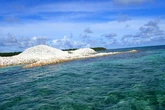 Boy, 8, bitten by shark in attack off Florida coast